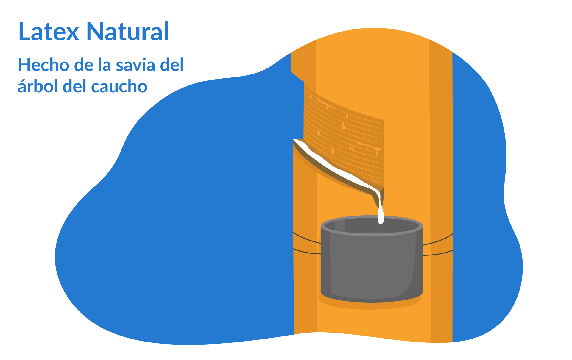 Colchon de latex natural